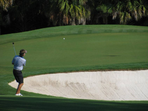 2012 Mid-Amateur Stroke Play Championship