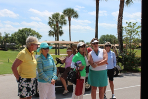 2013 Women's Senior Amateur Championship