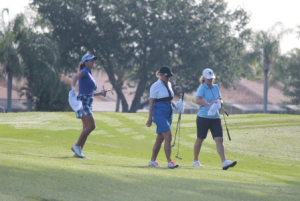 2013 Women's Senior Amateur Championship