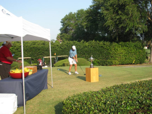 2012 Senior Amateur Championship