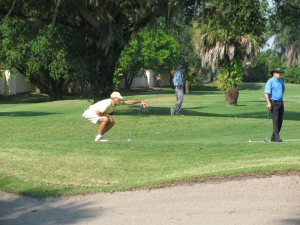 2012 Senior Amateur Championship