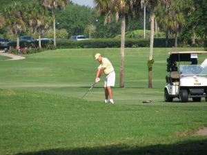 2012 Senior Amateur Championship