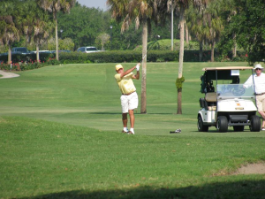 2012 Senior Amateur Championship