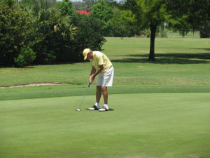 2012 Senior Amateur Championship