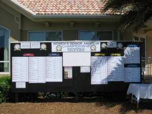 2013 Women's Senior Amateur Championship