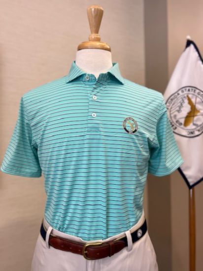 Picture of Holderness & Bourne FSGA Stripe Polo